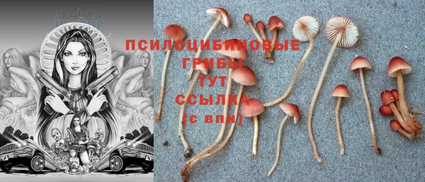 гашишное масло Арсеньев