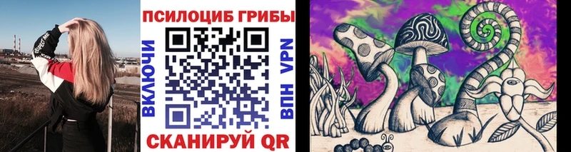 купить наркотики сайты  Краснотурьинск  Галлюциногенные грибы Psilocybine cubensis 