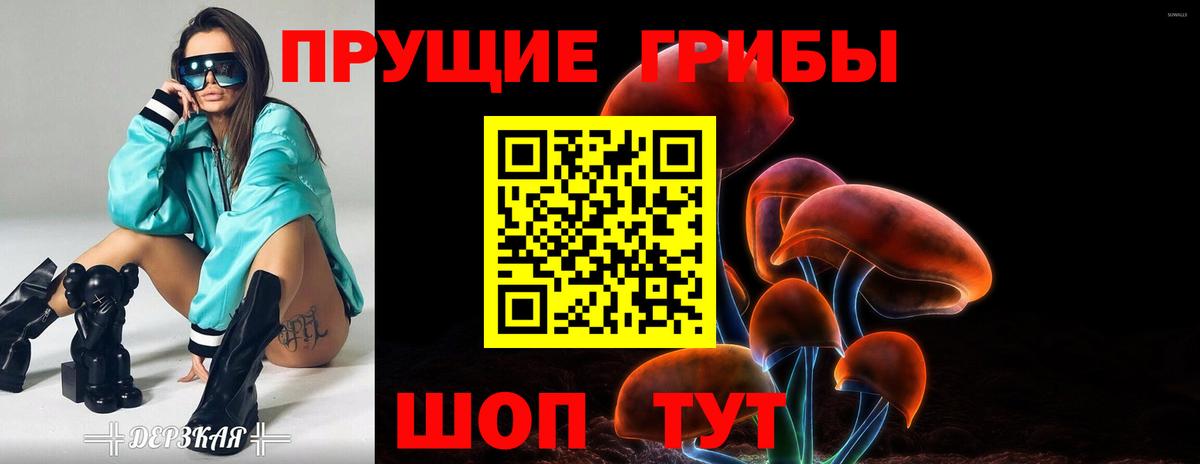 Псилоцибиновые грибы GOLDEN TEACHER Краснотурьинск