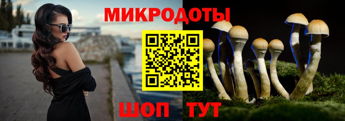 Псилоцибиновые грибы MAGIC MUSHROOMS  Вход с VPN  Краснотурьинск  Псилоцибиновые грибы прущие грибы 